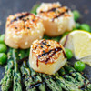 Petite Alaska scallops sprinkled with sesame seeds on top of asparagus spears.