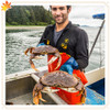 Dungeness Crab - A Pacific Northwest Favorite!