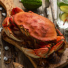 Whole-Cooked Jumbo Dungeness Crab