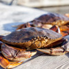 10 Crab CASE -  Whole-Cooked Jumbo Dungeness Crab