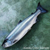 20 lb CASE - Copper River Coho Salmon Tail Portions