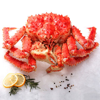 King Crab 101 Alaska King Crab Facts Fishex Seafoods