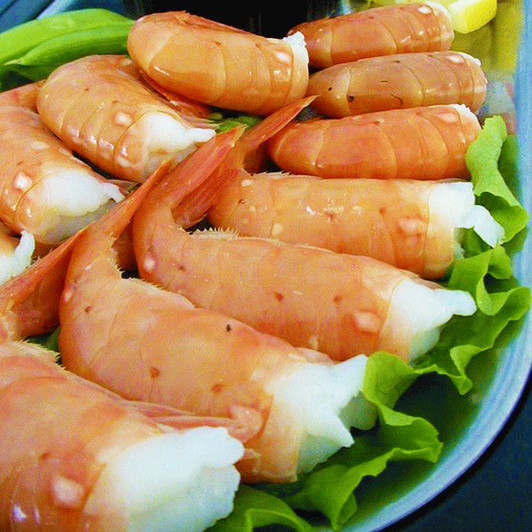 Jumbo Prawns and Fishing Net. Seafood, Shrimp is High in Protein but Low in  Food Energy Stock Image - Image of meat, eyes: 187202251