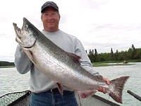 The Fascinating Life of an Alaska Salmon