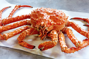 Golden king crab