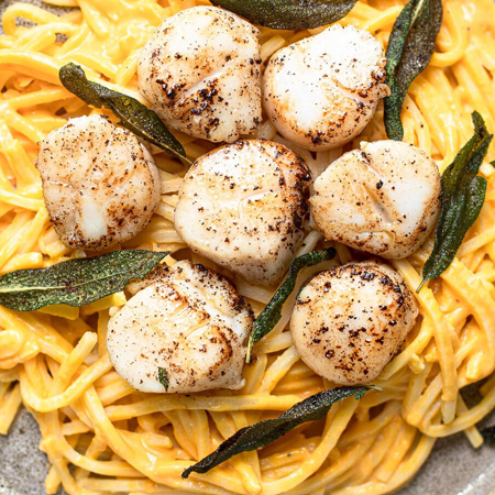 Seared Alaska scallops on a bed of delicious pumpkin Alfredo