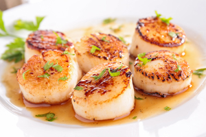 scallop recipes