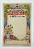 Societe Centrale d'Agriculture de Nice Poster By Emannuel Brun. Original 1901 Vintage French Stone Lithograph Society Anouncement Stone Lithograph Advertisement Linen Backed.