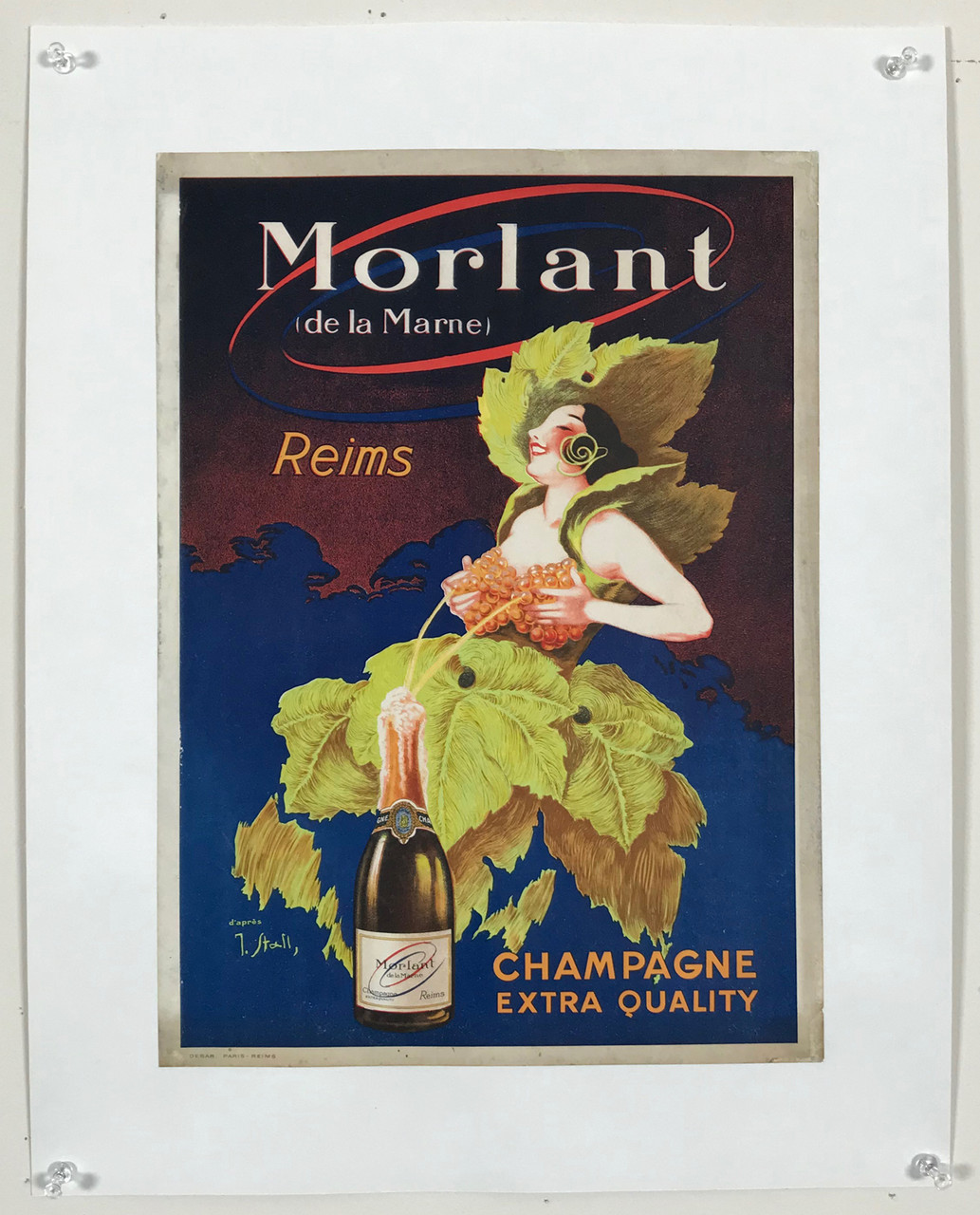 Morlant Champagne Extra Quality