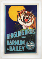 Ringling Bros and Barnum & Bailey Tiger