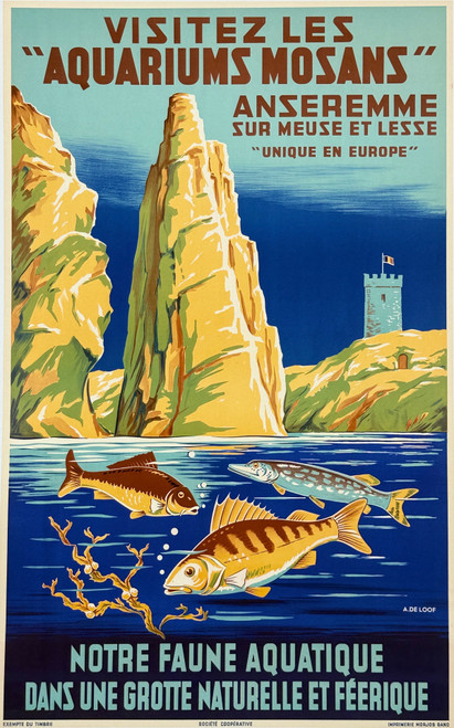 Visitez Les Aquariums Mosans Poster by A. De Loof Original 1938 Vintage Belgium Travel Advertisement Stone Lithograph Linen Backed.