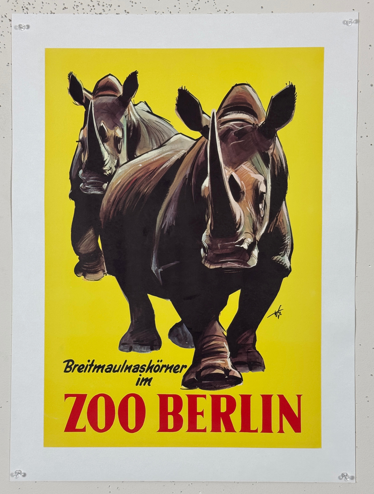 Tierpark Zoo Berlin Rhinos