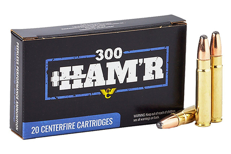 Wilson 300 HAM'R, 130gr Speer Hot-Core, 20-Round Box - 811826026729