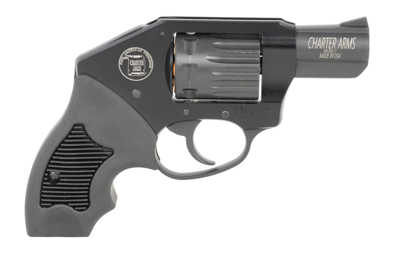 Charter Arms Walker 22 Magnum