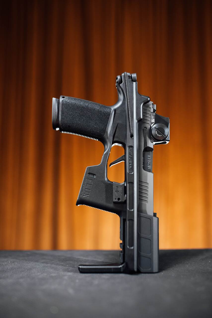 SIG Sauer P365 FLUX, 9MM, 6.00