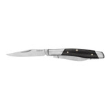 Kershaw Iredale, Folding Pocket Knife, Satin 7Cr17MoV Blades, Polished Black Micarta Handle 