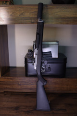 Shark Coast Tactical Ruger Mini-14 Tactical War Pig II w/ Exigent Defense LE 5.56 Suppressor & Vortex Crossfire, 5.56 NATO, 11.00" Barrel, 20 RDs, Synthetic Stock, Stainless 
