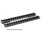 Warne Mountain Tech Tactical Rail, Black Anodized, 20 MOA - 656813105458 