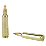 SIG Sauer Varmint & Predator, .22-250 REM, 40GR, Brass - 798681568161 