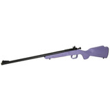 Crickett, .22 LR, 16.13" Barrel, 1 RDs, Matte Blued/Purple - 611613023067 