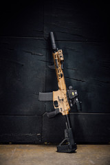 Mustang Armament Chesty Series w/ EOTech EXPS2-2 & 3X Magnifier, 5.56 NATO, 12.50" Barrel, 30 RDs, Troy Coyote Cerakote 