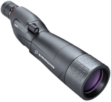 Simmons Venture, Black Finish 