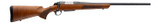 Browning AB3 Pro Hunter, 243 WIN, 22.00" Barrel, 5 Rds, Free-Floated Barrel, Blued / Dark Maple 