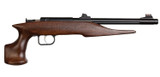 Crickett 41001 Hunter Adult, 22 MAG, 9.00" Barrel, 1 Rd, Threaded Barrel, Blued Steel 