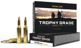 Nosler Trophy Grade, 243 Win, 85gr Partition Soft Point, 20 Rds 