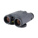 Leupold BX-6 Range HD 4DOF 10x42 Rangefinding Binoculars, Black/Gray 