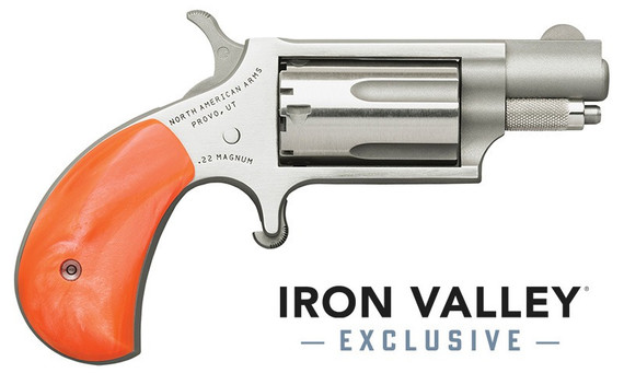 North American Arms Mini-Revolver, 22 MAG, .22 WMR, 1.13" Barrel, 5 Rds, Stainless 
