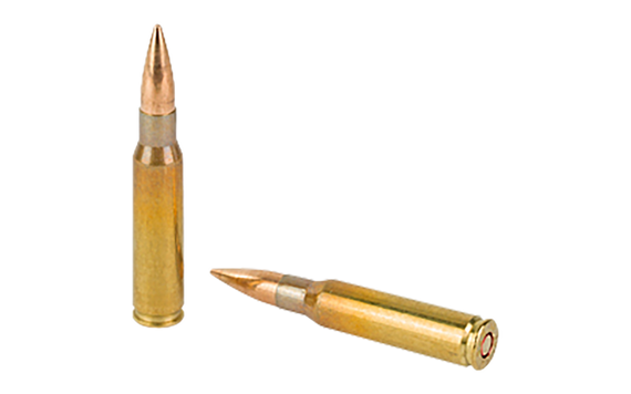 Sellier & Bellot SB76251, 7.62x51mm NATO, 147gr Full Metal Jacket, 20 Rds/Box, 30 Boxes/Case - 754908512980 