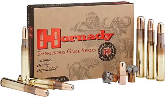 Hornady Dangerous Game 375 H&H Mag, 300gr DGX Bonded, 20 Rds, Brass - 090255823349 