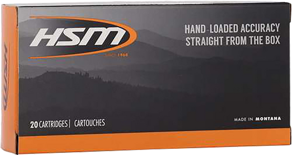 HSM, .45-70 GOVERNMENT, 300 Gr, JHP, 20 Rds - 810742029548 