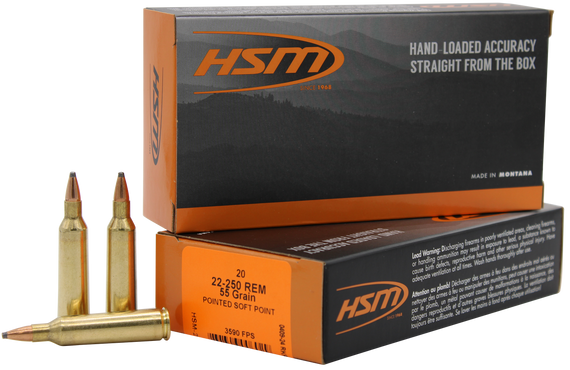 HSM, .22-250 REMINGTON, 55 Gr, SOFT POINT, 20 Rds - 837306006029 