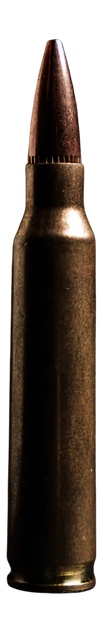 Atomic 00497, .223 Remington, 77 GR Hollow Point Boat Tail, 20 Rds 