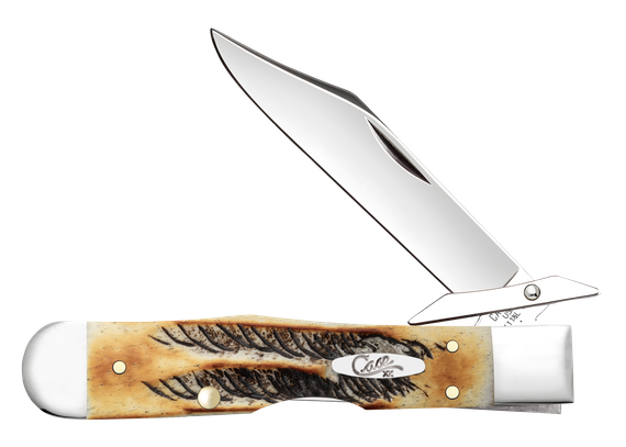 Case Cheetah Cub 6.5 Bonestag Folding Knife 