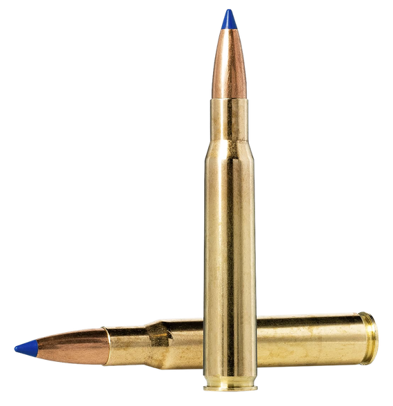 Norma Bondstrike Dedicated Hunting, 300 RUM, 180gr Bonded Polymer Tip, 20 Rounds 