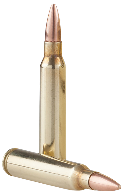 TR&Z Range Master PPRM5561P, 5.56x45mm NATO, 55 gr Full Metal Jacket Boat Tail, 125 Rds Box 