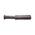 Glock Recoil Spring Assembly, G29/30 - 100002750 