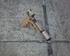 Glock/B&T G19X Hush Puppy Kit w/ Silencer & Aimpoint Acro, 9MM, 4.00" Barrel, 17 Rds, Coyote 