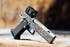 Tee Gun Vault Rivet w/ Aimpoint ACRO P-2, 9MM, Silver/Gray 