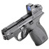 Smith & Wesson Bodyguard 2.0 w/ Viridian RFX1, .380 ACP, 2.75" Barrel, 12 RDs, Black 