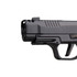 Sig Sauer P365 AXG LUXE, 380 ACP, 3.10" Compensated Barrel, 10 RDs, Pearlescent Black Cerakote 