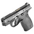 Smith & Wesson Bodyguard 2.0, 380 ACP, 2.75" Barrel, 10 Rds, Armornite Finish 
