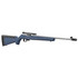 Ruger 10/22 250th Anniversary, 22 LR, 18.50" Threaded Barrel, 10 Rds, Satin Stainless / Liberty Blue Synthetic 
