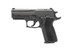 SIG Sauer P229, 40 S&W, 2-12 Rds 