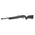 Ruger 10/22, 22 LR, 16.12" Barrel, 10 Rds, Satin Black 