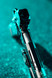 Guncrafter Industries Polara X2, 9mm, 5.00" Ported Barrel, 18 RDs, DLC Black 
