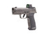 SIG Sauer P365 AXG Legion, 9MM, 3.1" Barrel, 17 Rds, Legion Gray - 798681686575 